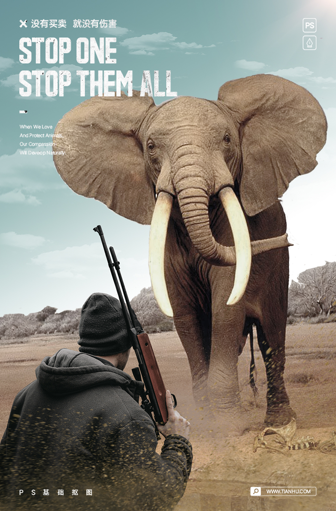 野生动物保护海报