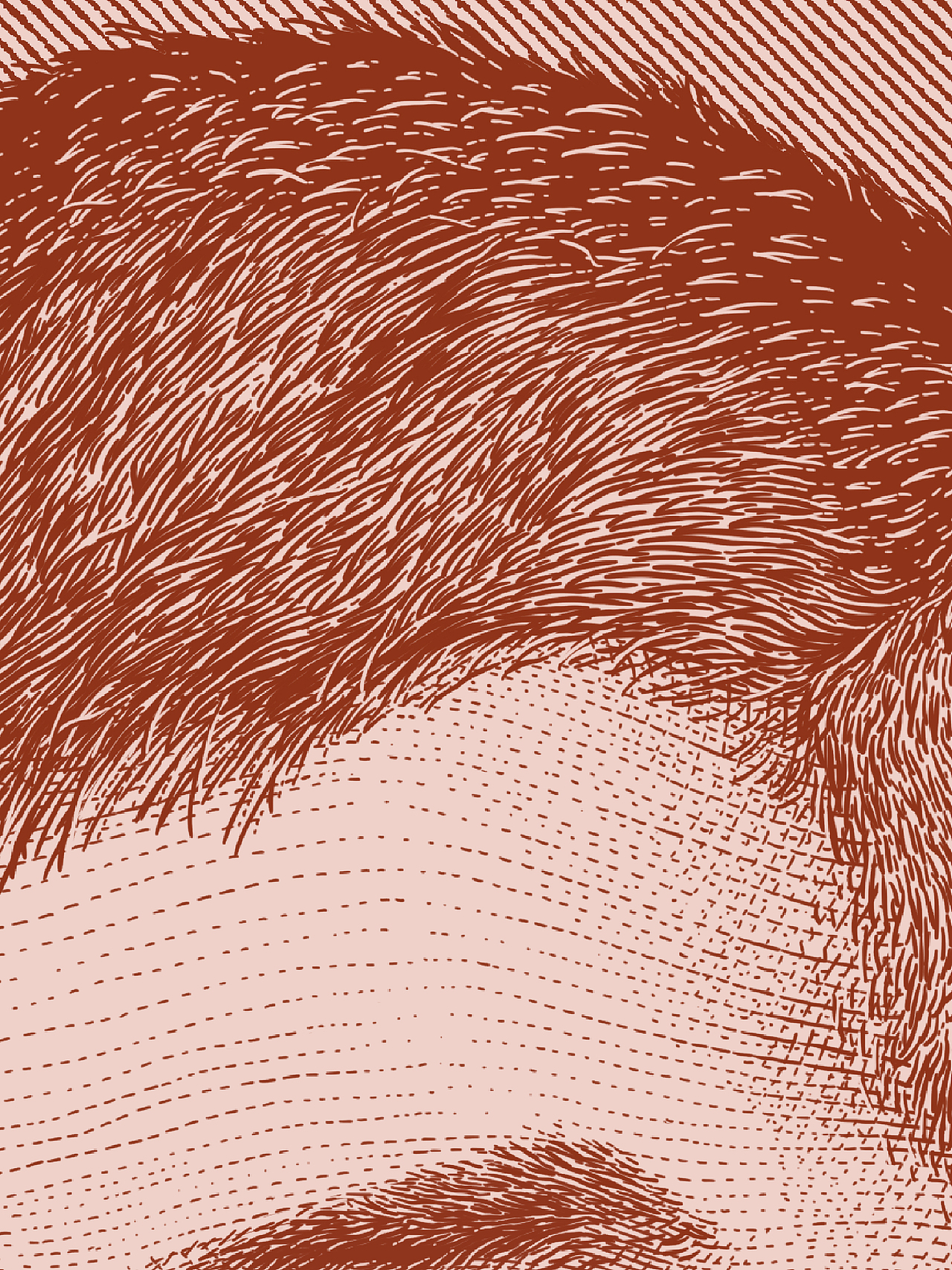 定制插画｜人物肖像