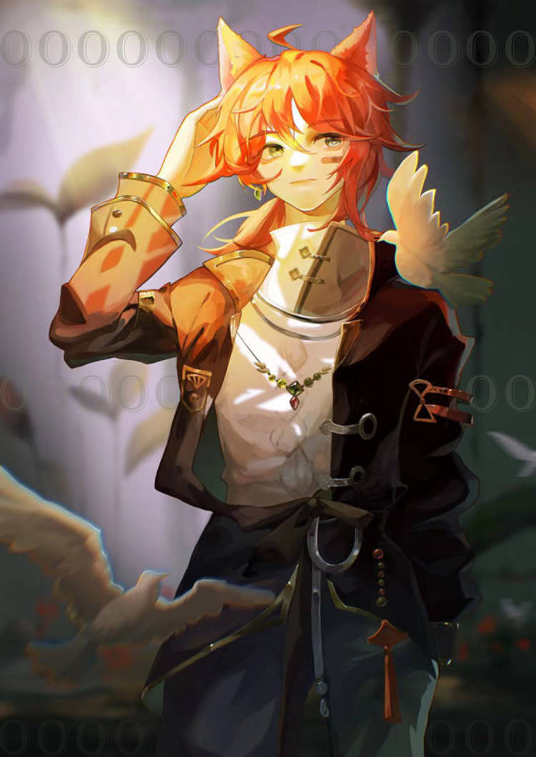 狐狸弟弟请求出战