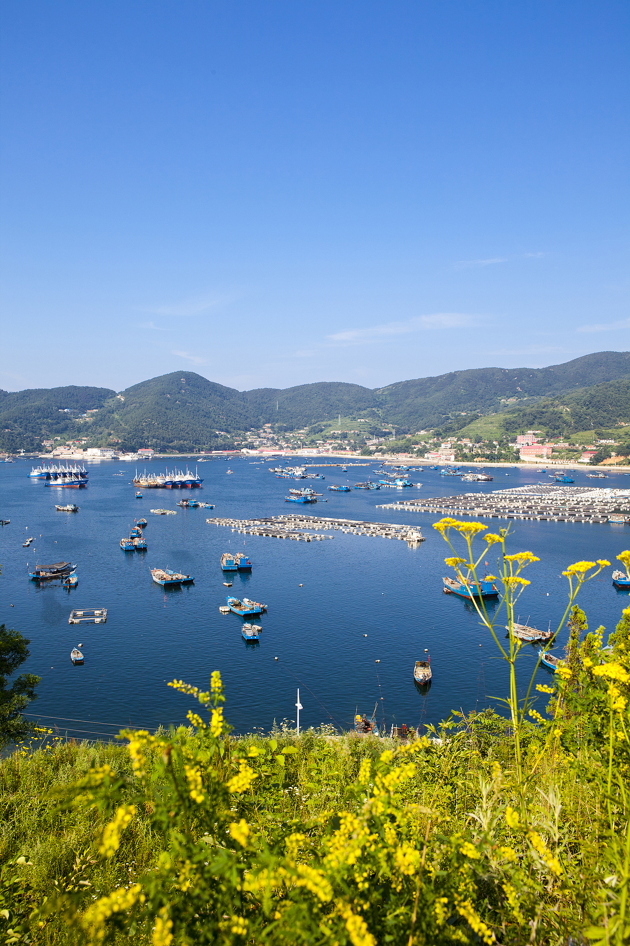 海洋岛 远离大陆的小岛