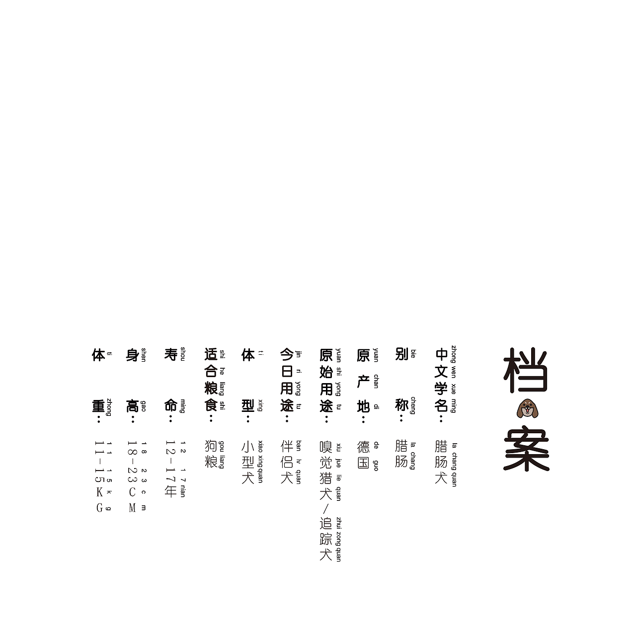 书籍装帧-《狗狗日记》(儿童狗狗科普绘本手工书)