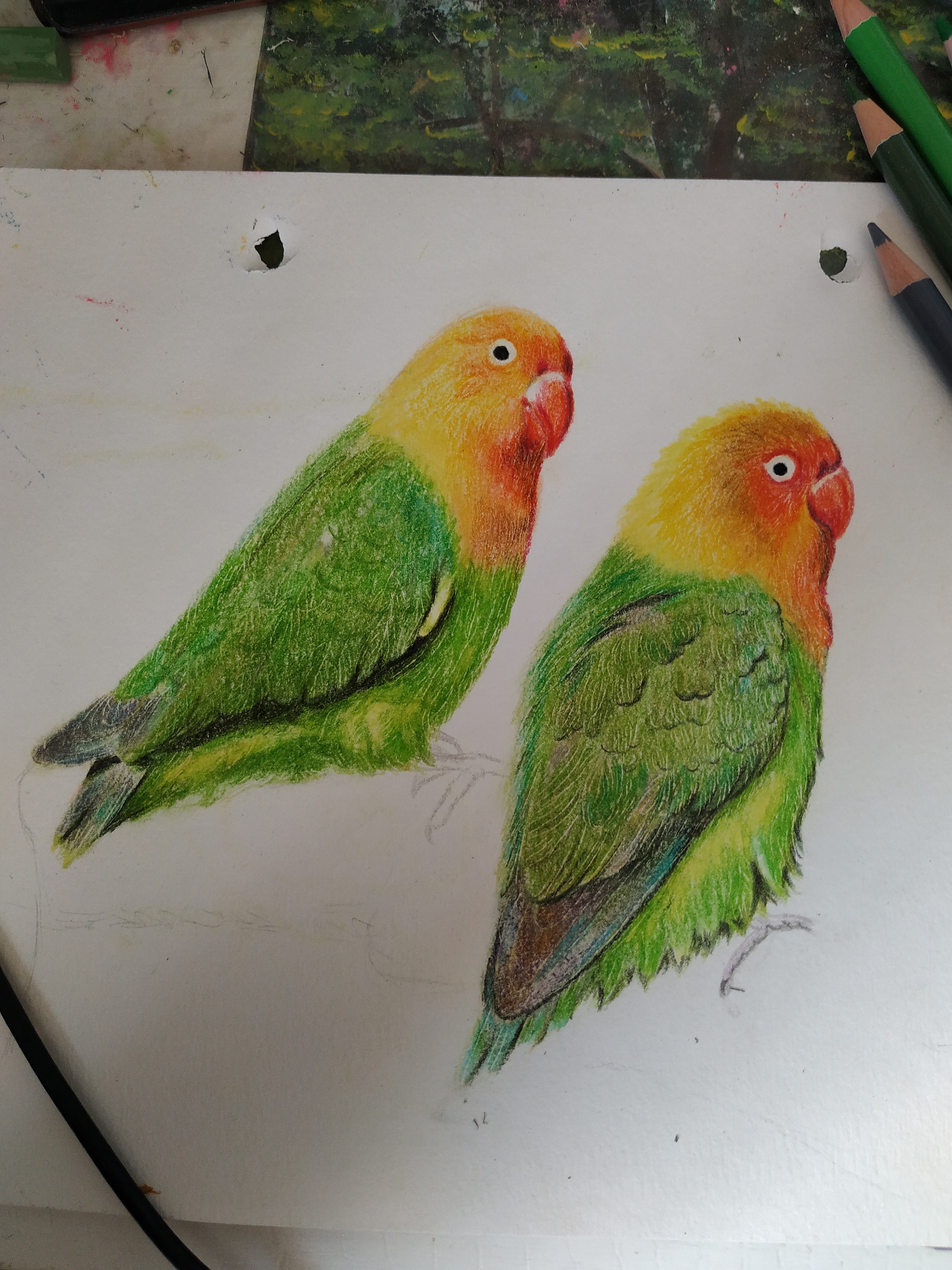 彩彩彩色红铅铅