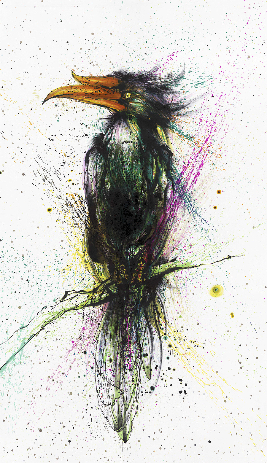 《色彩,羽毛,温度》- 墨水创作|纯艺术|绘画|画图男 - 原创作品