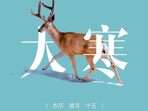 二十四节气主题海报 简约风