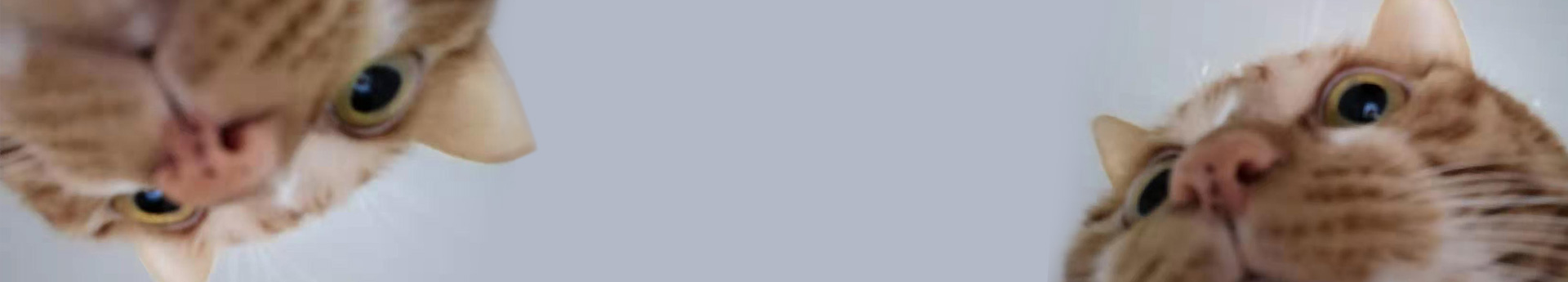 黑猫doodler的个人主页（封面预览） - 主页封面设置 - 站酷设计师黑猫doodler原创素材 - 站酷ZCOOL