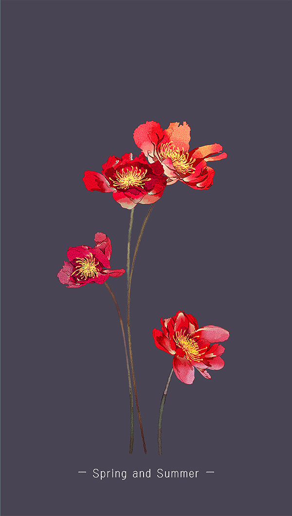 小清新素材整理