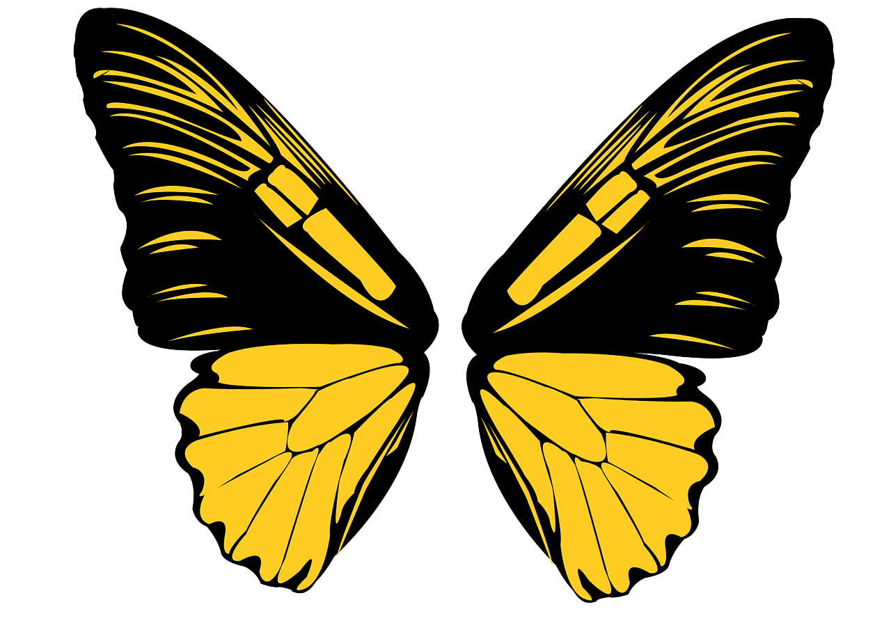 蝴蝶翅膀设计元素素材免费下载(图片编号:5453690)-六图网