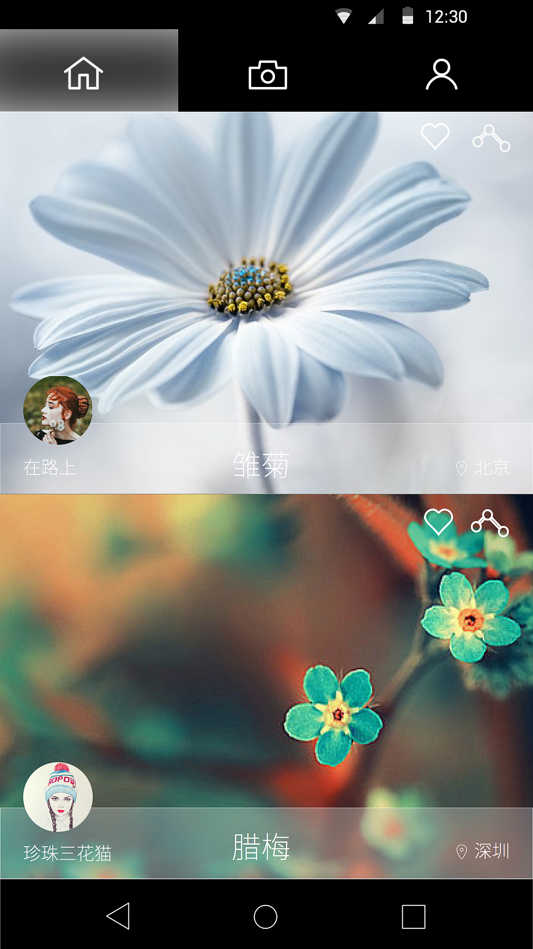 《拍叶》安卓版动效视频