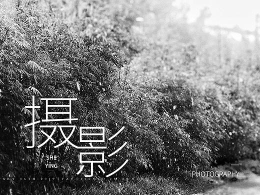 闲余随手拍丨01丨
