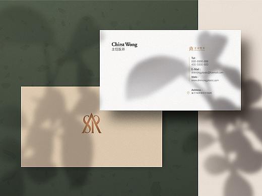 重庆欣荣整形医院VIS设计