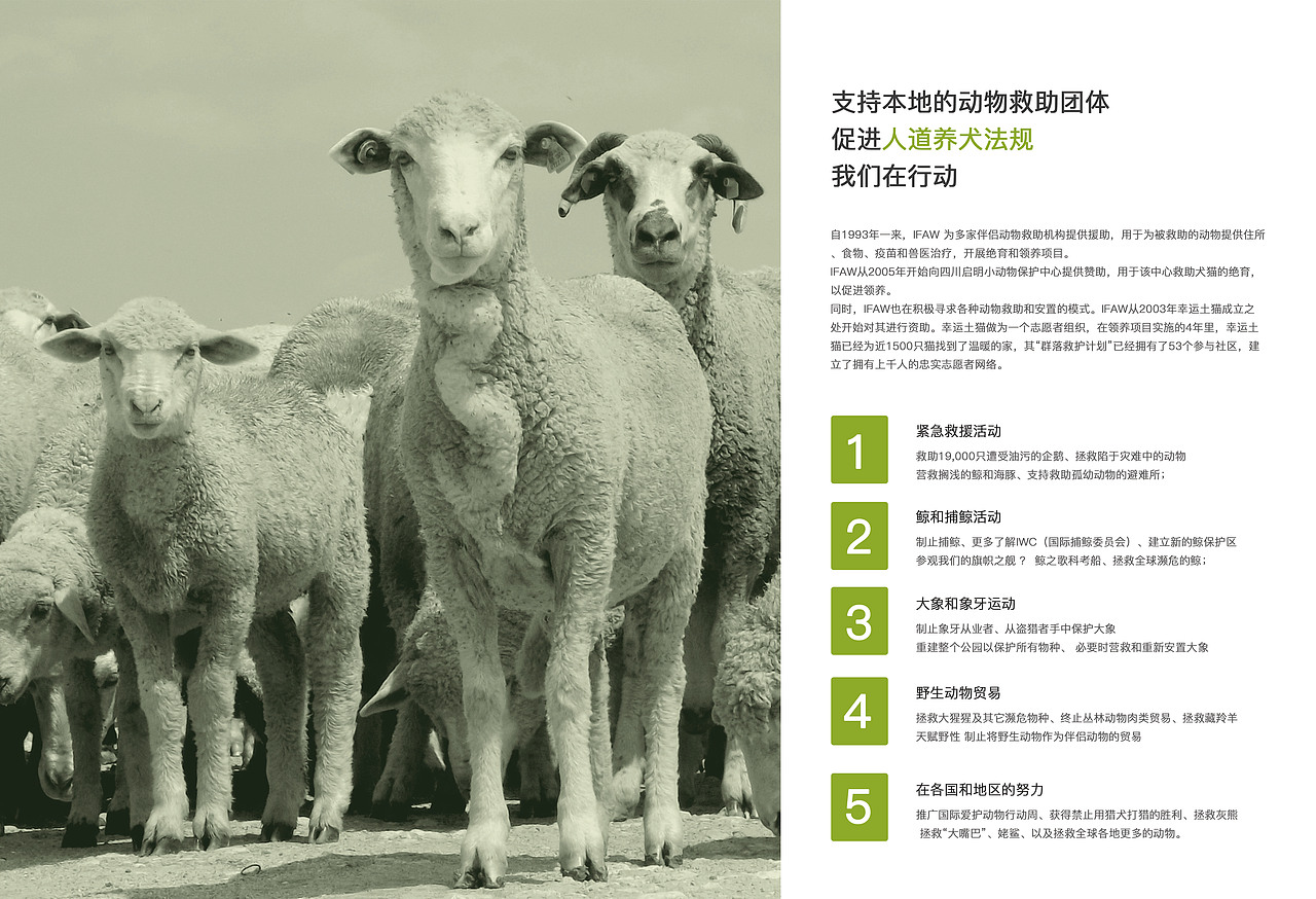 画册-保护动物（图ZOTU2MzMxNDg=） - 书籍/画册 - 站酷设计师草莓味的猫er原创素材 - 站酷ZCOOL