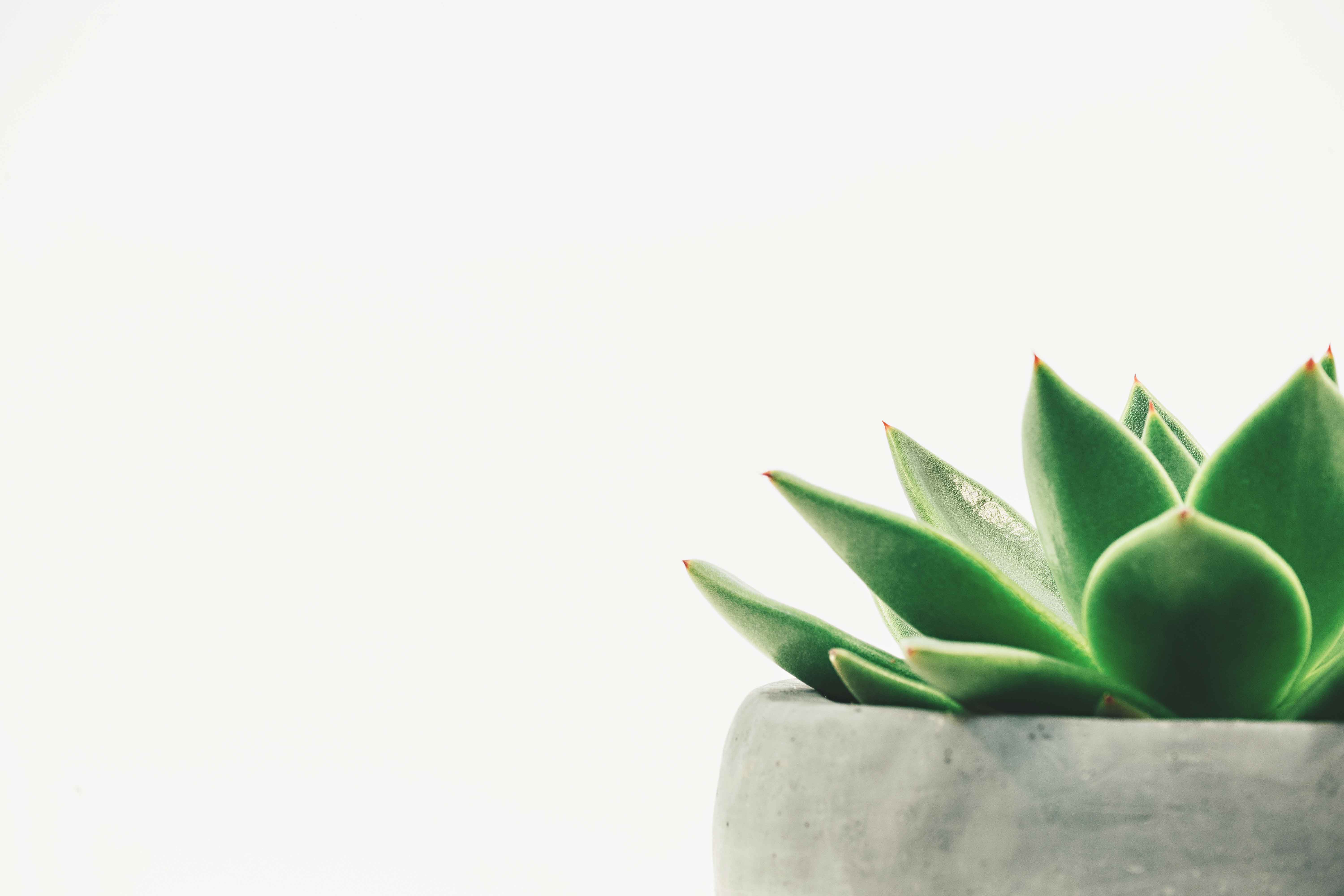 阿佩_的个人主页（背景预览） - 主页背景设置 - 站酷设计师阿佩_原创素材 - 站酷ZCOOL