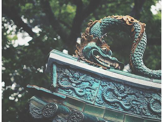 海幢寺的春雨（个人主页-ZNDI2MTgwNDA=） - 风光摄影 - 站酷设计师李翔DennisLee原创素材 - 站酷ZCOOL