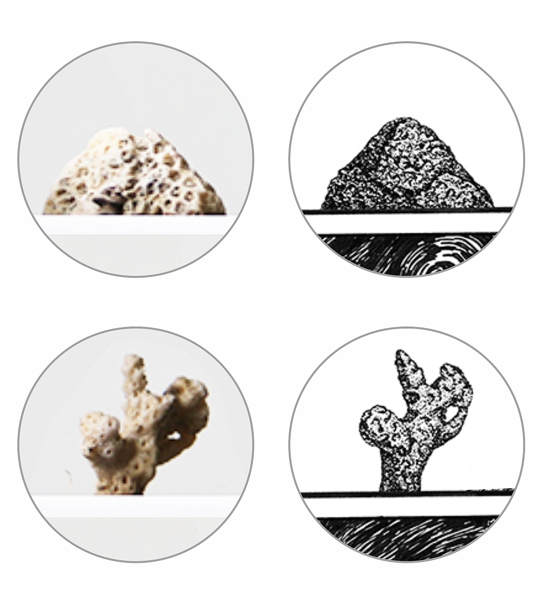 来表达 br>注意点的疏密关系就可以了 br>点的时候一定要静下心来哦