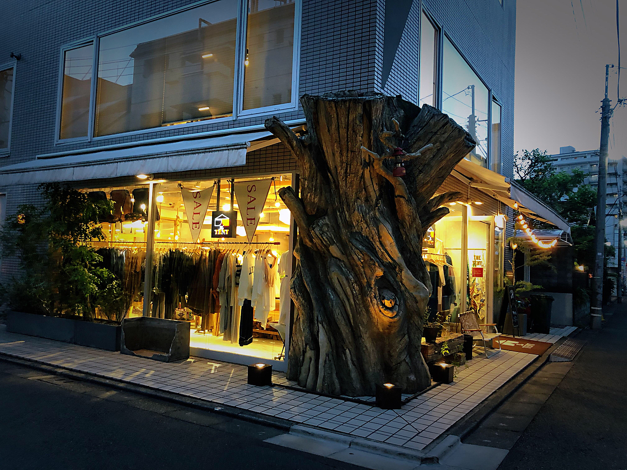 🐱🐱东京行迹