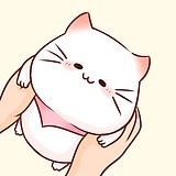 一块奶酪君的头像