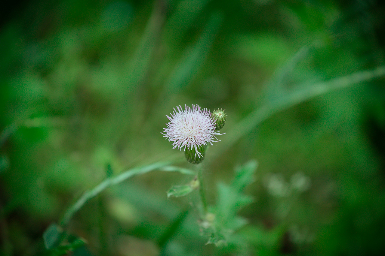 芦山彩虹谷学院(一)