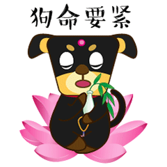 表情包 I 号外号外!您的狗子要出道啦~快去围观(图ZMjE1ODU5OTEy) - 艺术插画 - 站酷设计师AWANTITAO原创素材 - 站酷ZCOOL