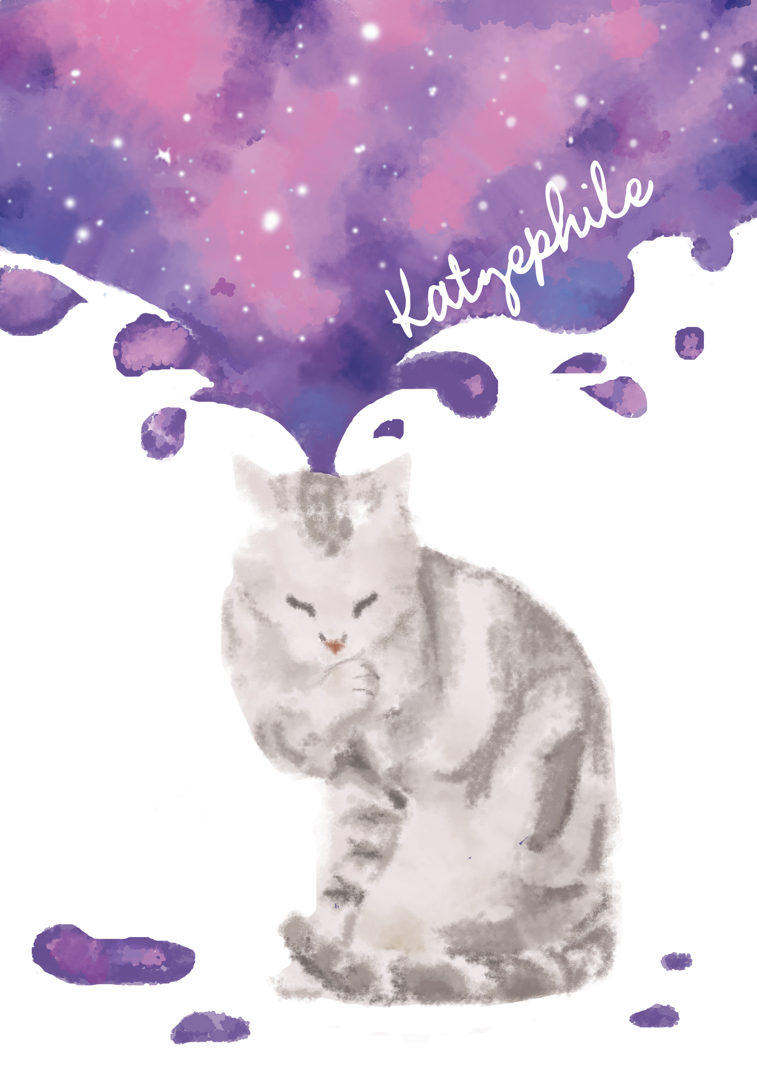 猫咪迸发的星空梦