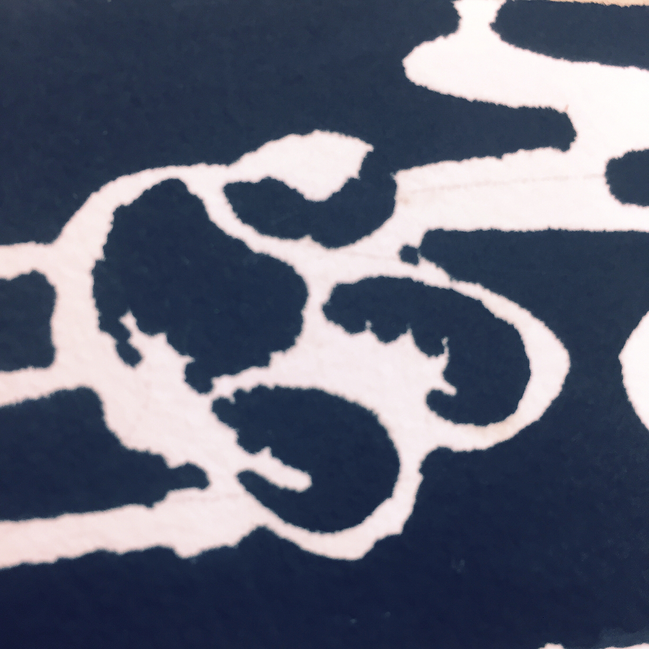 我与煤球共同完成