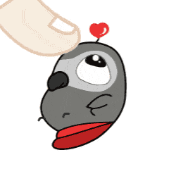 “小灰灰灰啊灰”微信表情包（图ZMTA1MTY4NDY0） - 网络表情 - 站酷设计师暂停更新了原创素材 - 站酷ZCOOL