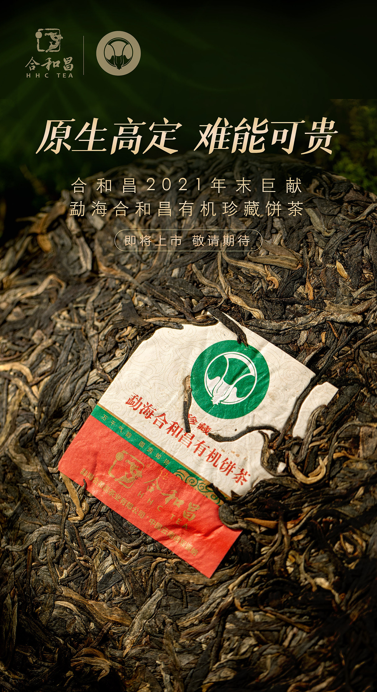 有机普洱茶产品海报