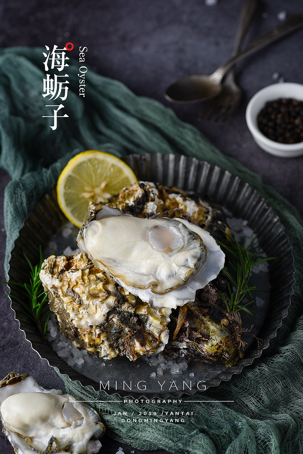 海蛎子/生蚝拍摄_摄影师董名扬-站酷zcool