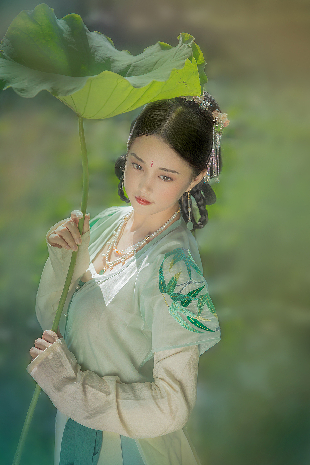 ‖一树满庭芳‖