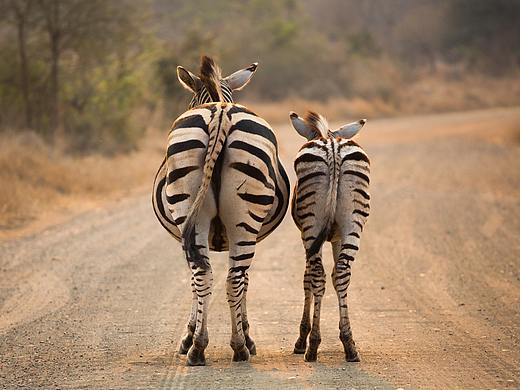 协信系列单图（个人主页-ZMjQ1NzUzMzY=） - 运营设计 - 站酷设计师泯旭原创素材 - 站酷ZCOOL