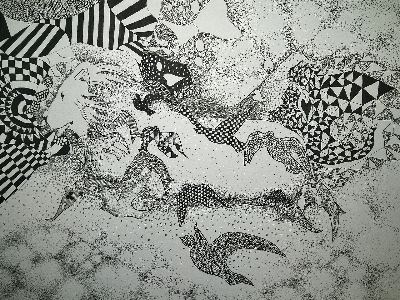 《野心与自由》