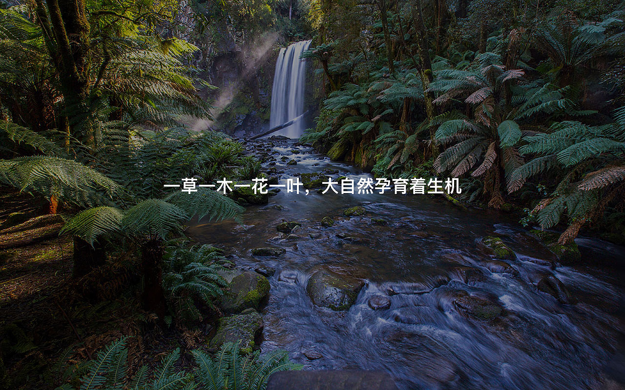 Raputa花园市集企业品牌形象（图ZMjM3MzM1MjYw） - 品牌 - 站酷设计师aime_chan原创素材 - 站酷ZCOOL