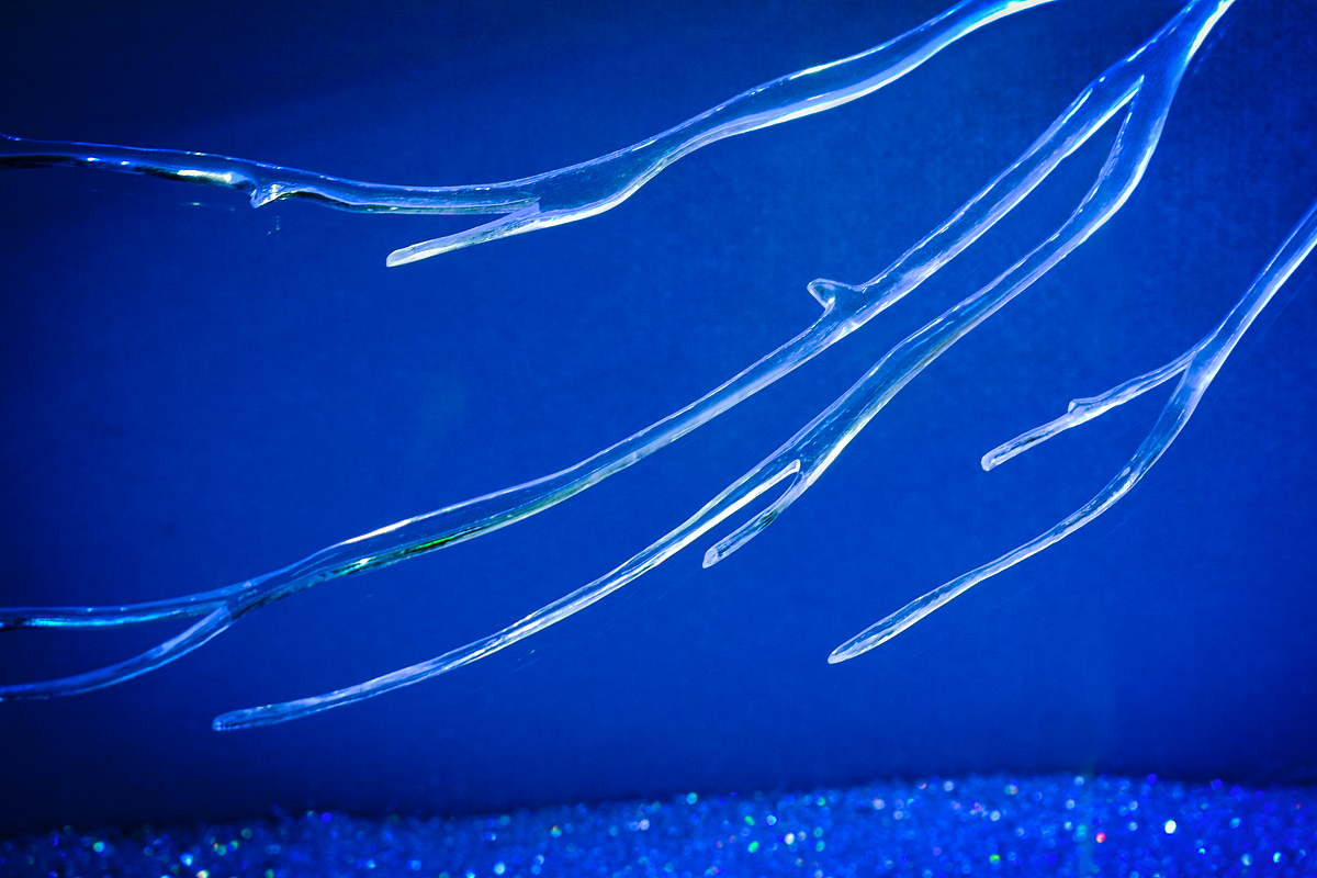 Tiffany蒂芙尼艺术展（图ZMTgxNDAwMDI4） - 产品摄影 - 站酷设计师浠雅原创素材 - 站酷ZCOOL