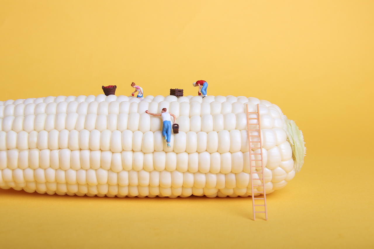 微观创意摄影玉米