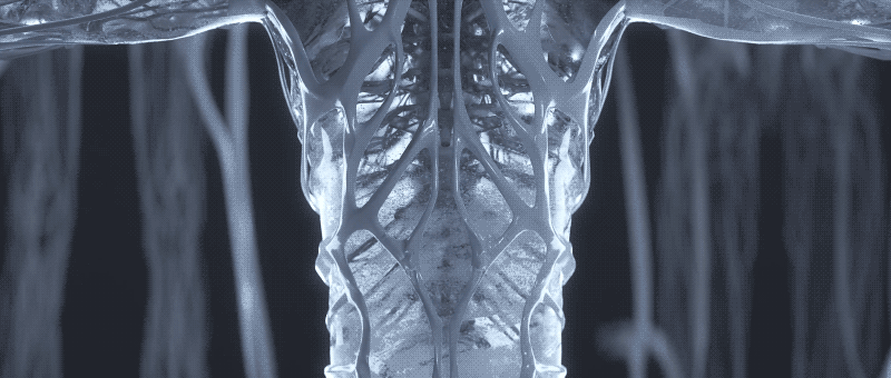 无魂之壳（图ZMTU1NTQ5MDc2） - 动画/影视 - 站酷设计师vaneLLLLLLL原创素材 - 站酷ZCOOL