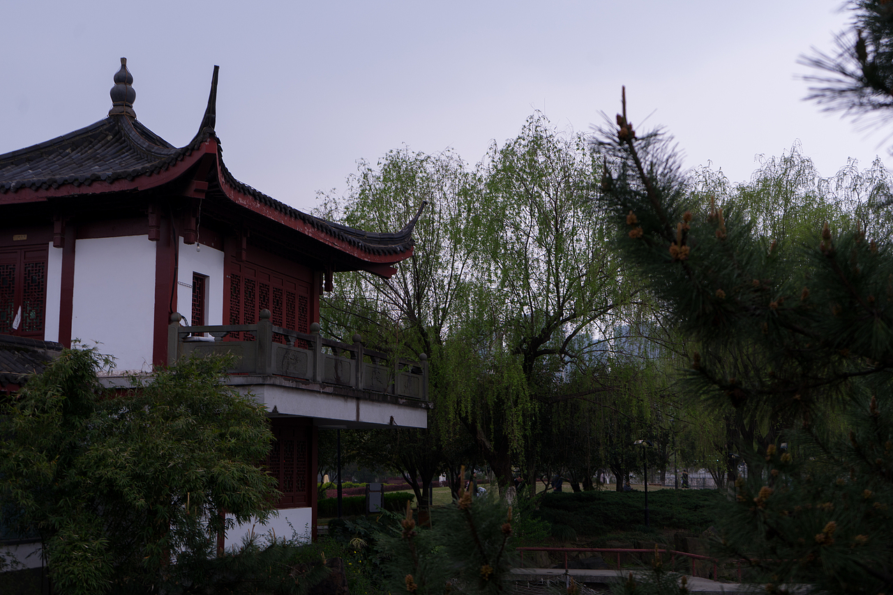 杭州南江公园郁金香（图ZMjQ4MTAwMDc2） - 风光摄影 - 站酷设计师达达达西瓜原创素材 - 站酷ZCOOL