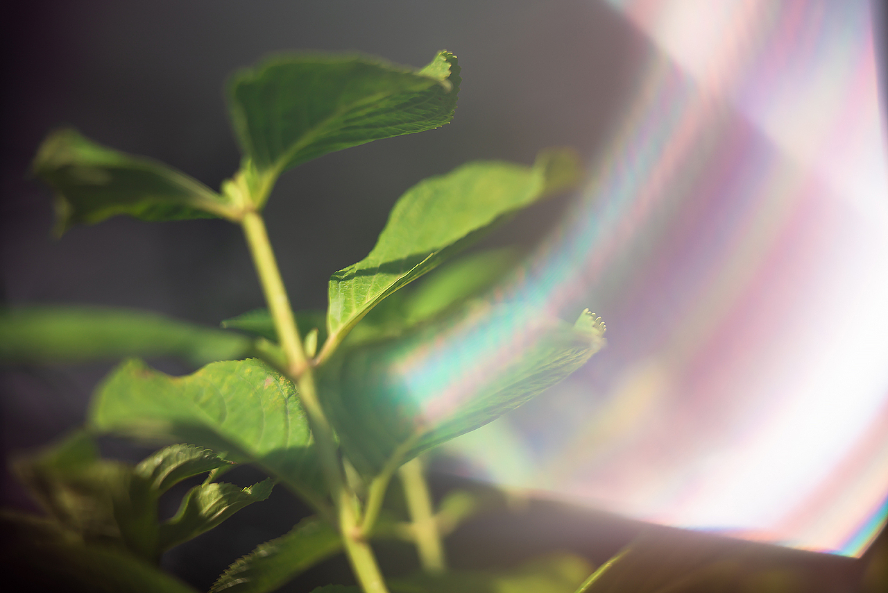 《要有光》（图ZMzA5OTYyNTgw） - 风光摄影 - 站酷设计师Alex1205原创素材 - 站酷ZCOOL