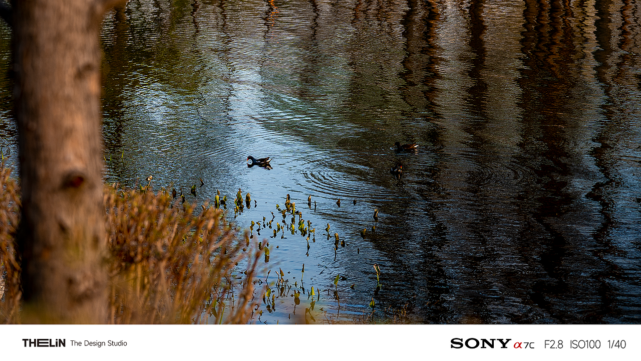 总要来趟南京吧（图ZMzMzOTEwNTQw） - 短片 - 站酷设计师泽林视觉原创素材 - 站酷ZCOOL