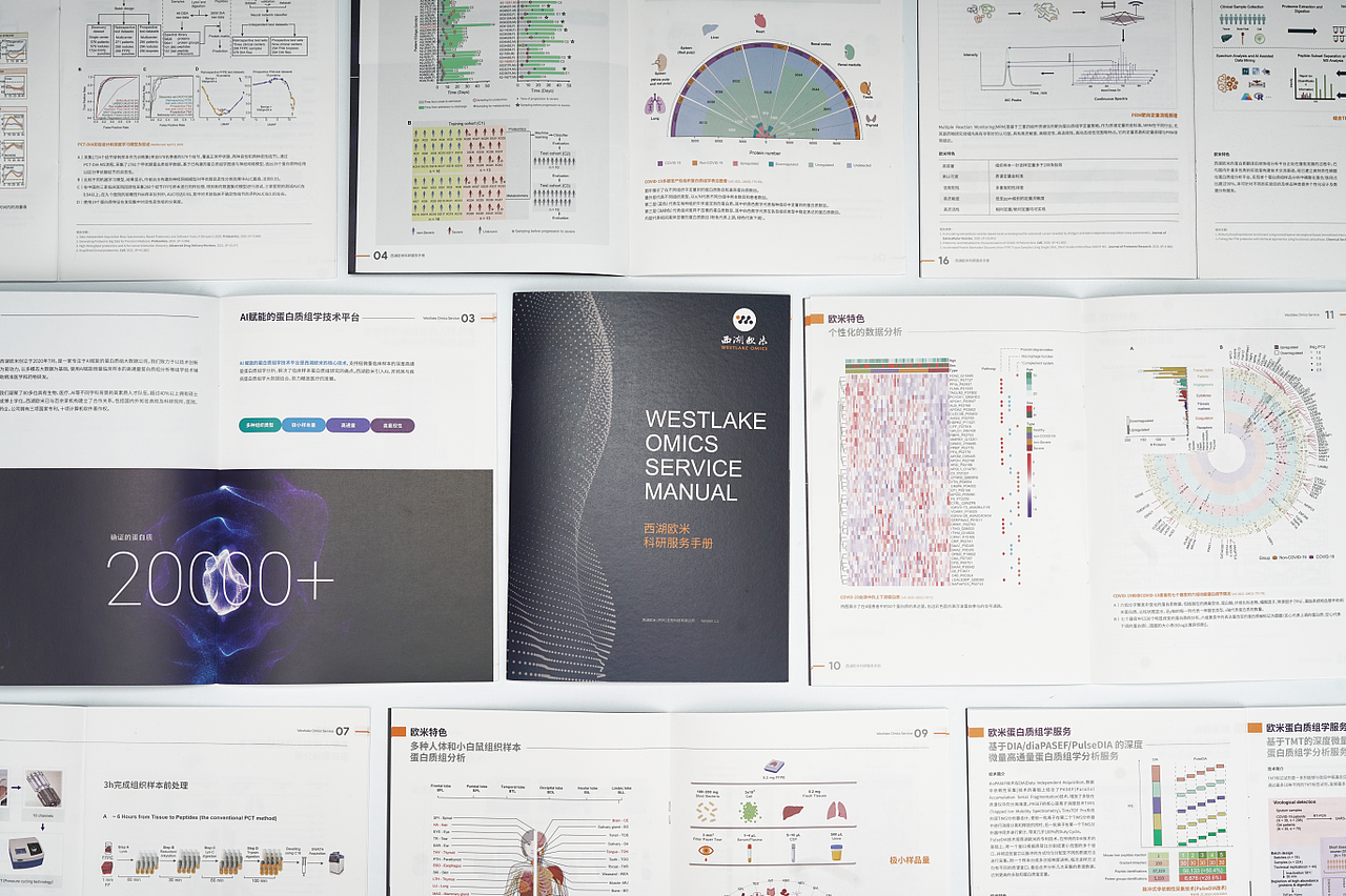 科研类服务手册-西湖欧米画册V1.1版本（图ZMjgxNTQ5Njk2） - 书籍/画册 - 站酷设计师孫容原创素材 - 站酷ZCOOL