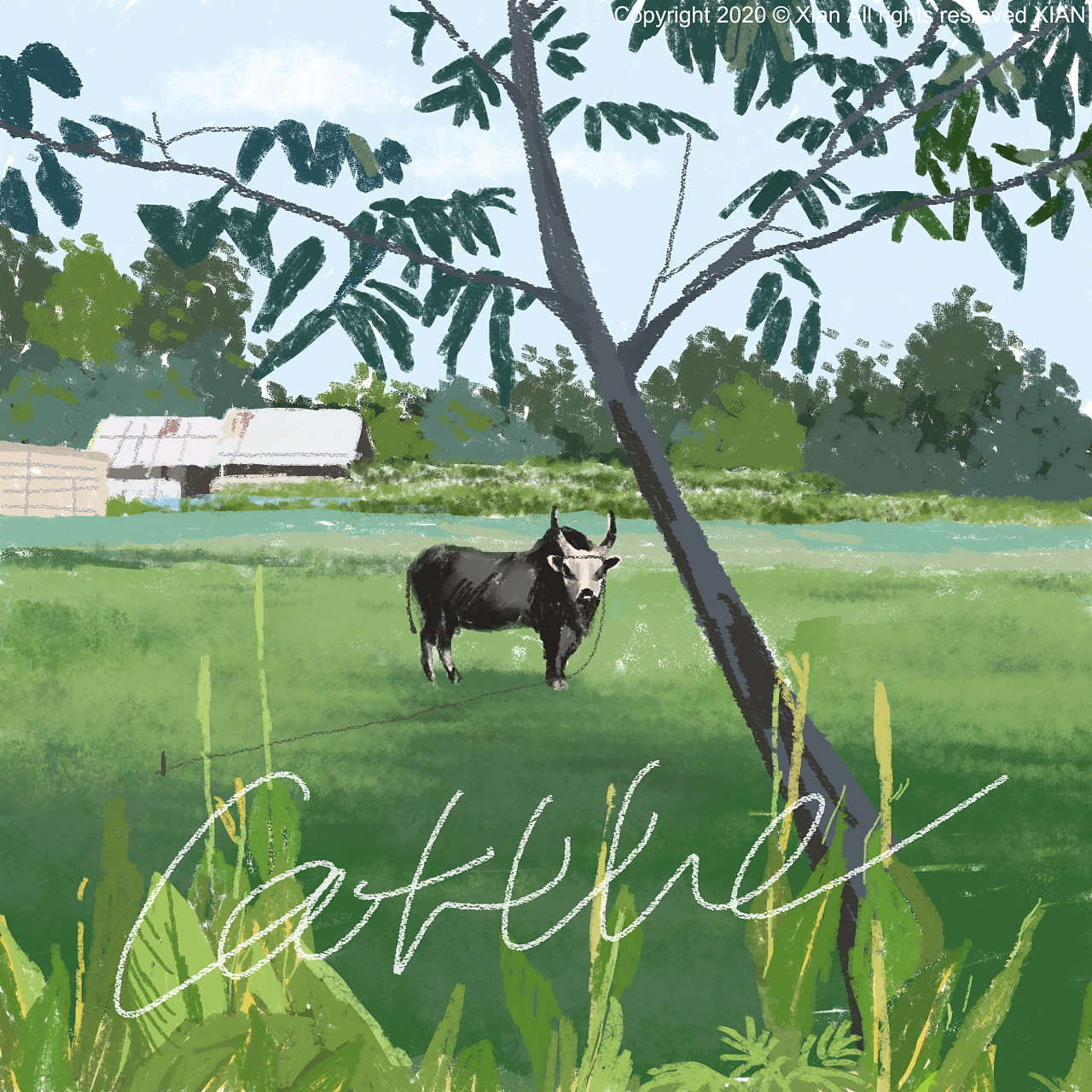 板绘练习《小时光 大自然》系列插画