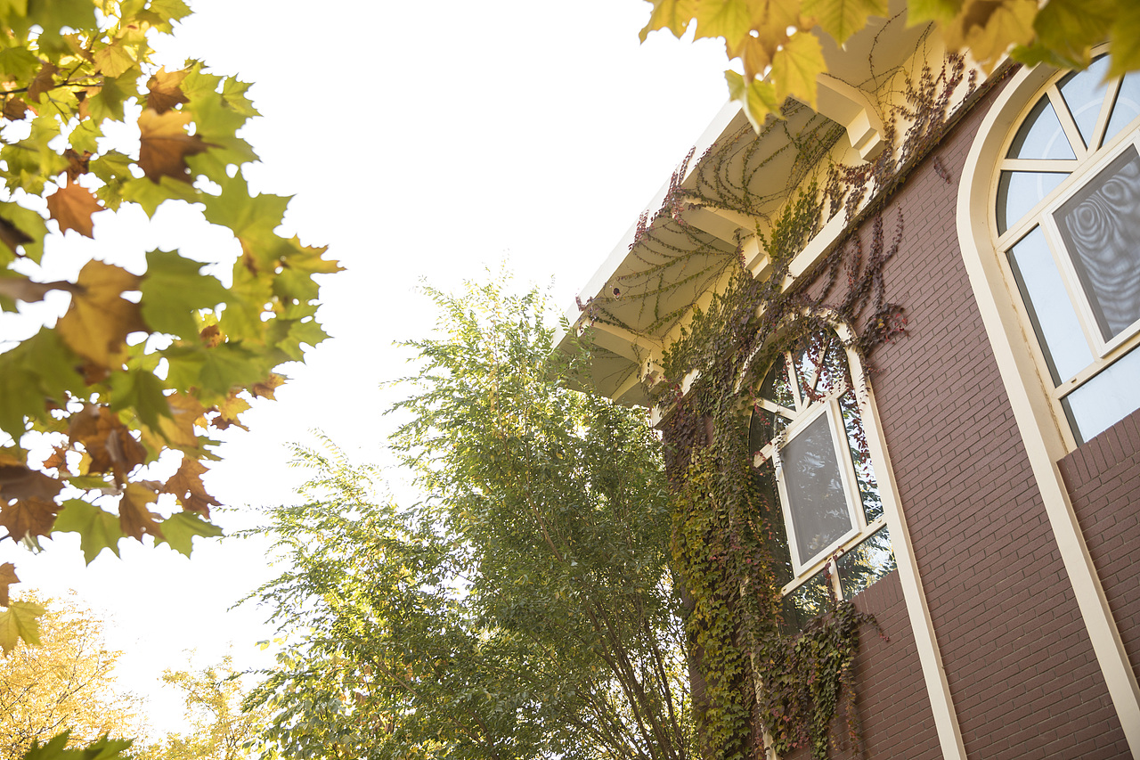 实景拍摄 流量慎入!