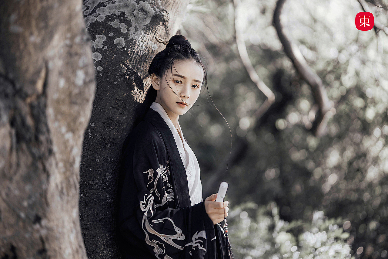 东集tonji岁时国风汉古风服黑苍鹭