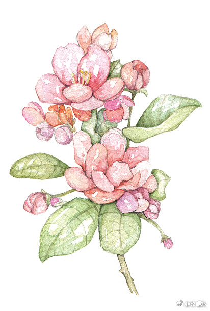 昨夜雨疏风骤，浓睡不消残酒 知否，知否…… ​​​（图ZODc0ODE2Njg=） - 绘画 - 站酷设计师R半听原创素材 - 站酷ZCOOL