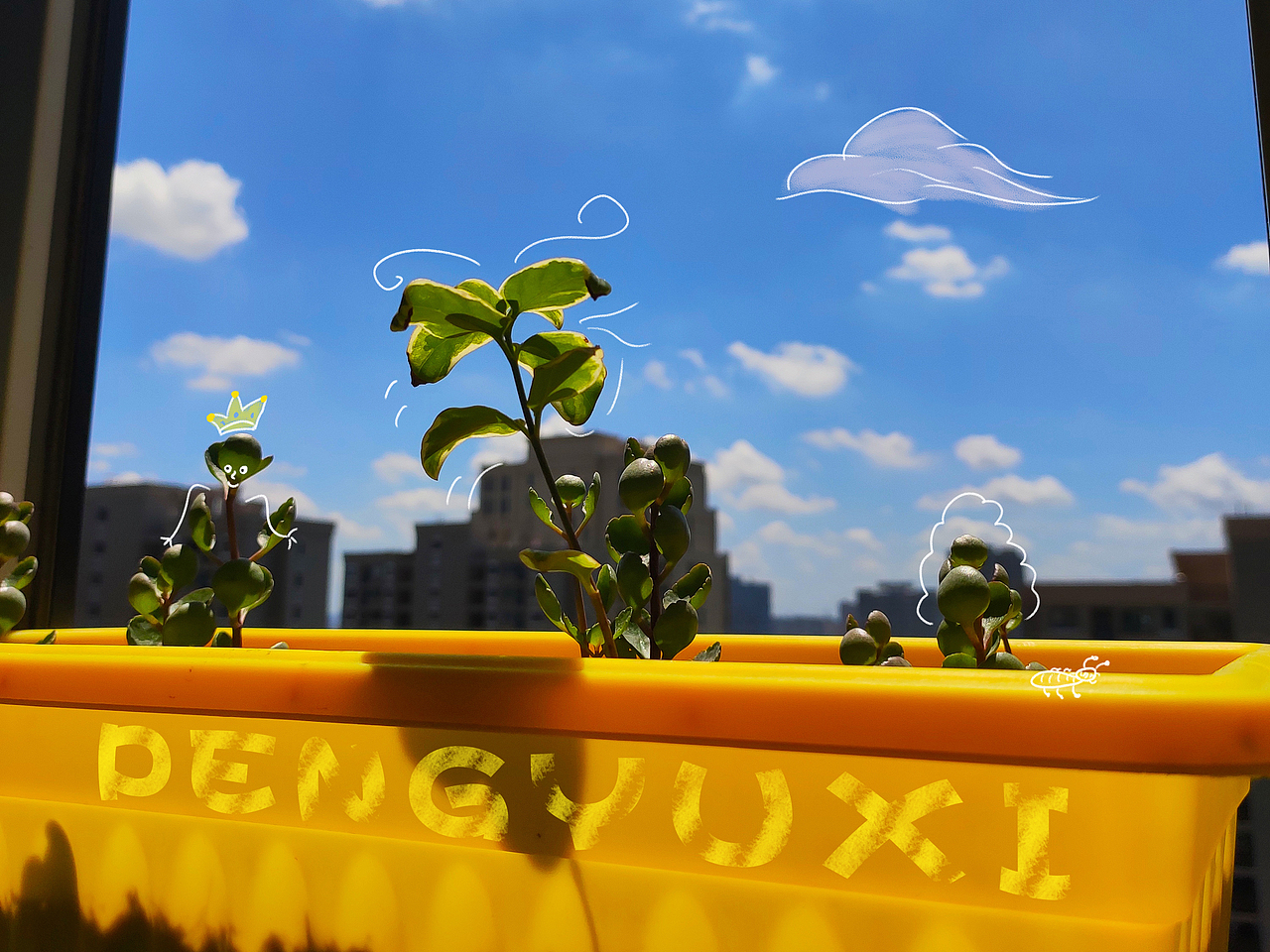 风景总在身边，请拿起手机随手记录