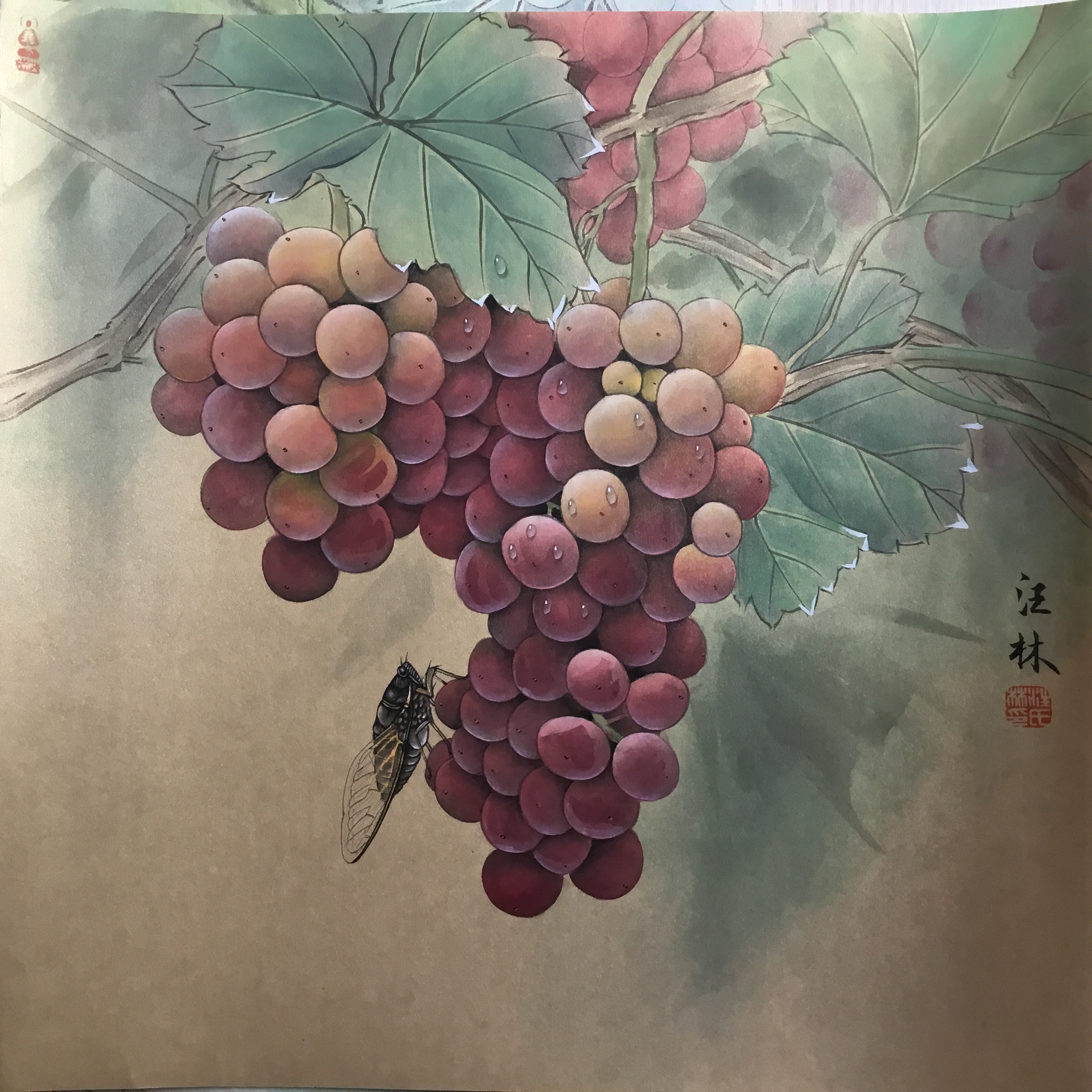 汪林工笔画葡萄