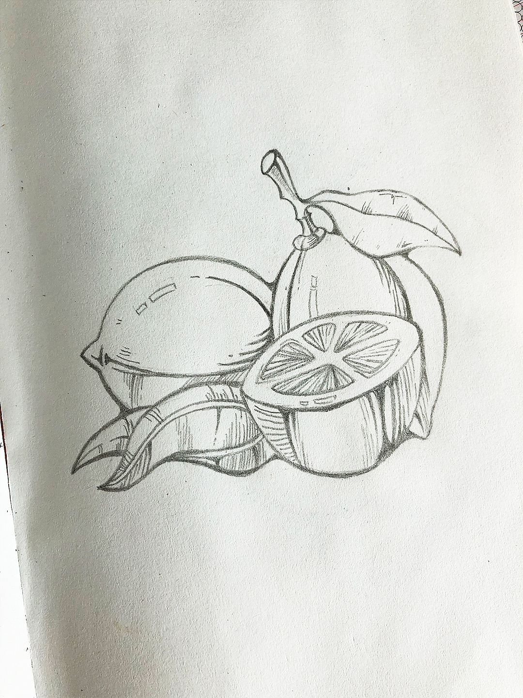 手绘手稿（图ZMTQ0OTgwOTQ0） - 图案 - 站酷设计师李佳佳Jill原创素材 - 站酷ZCOOL