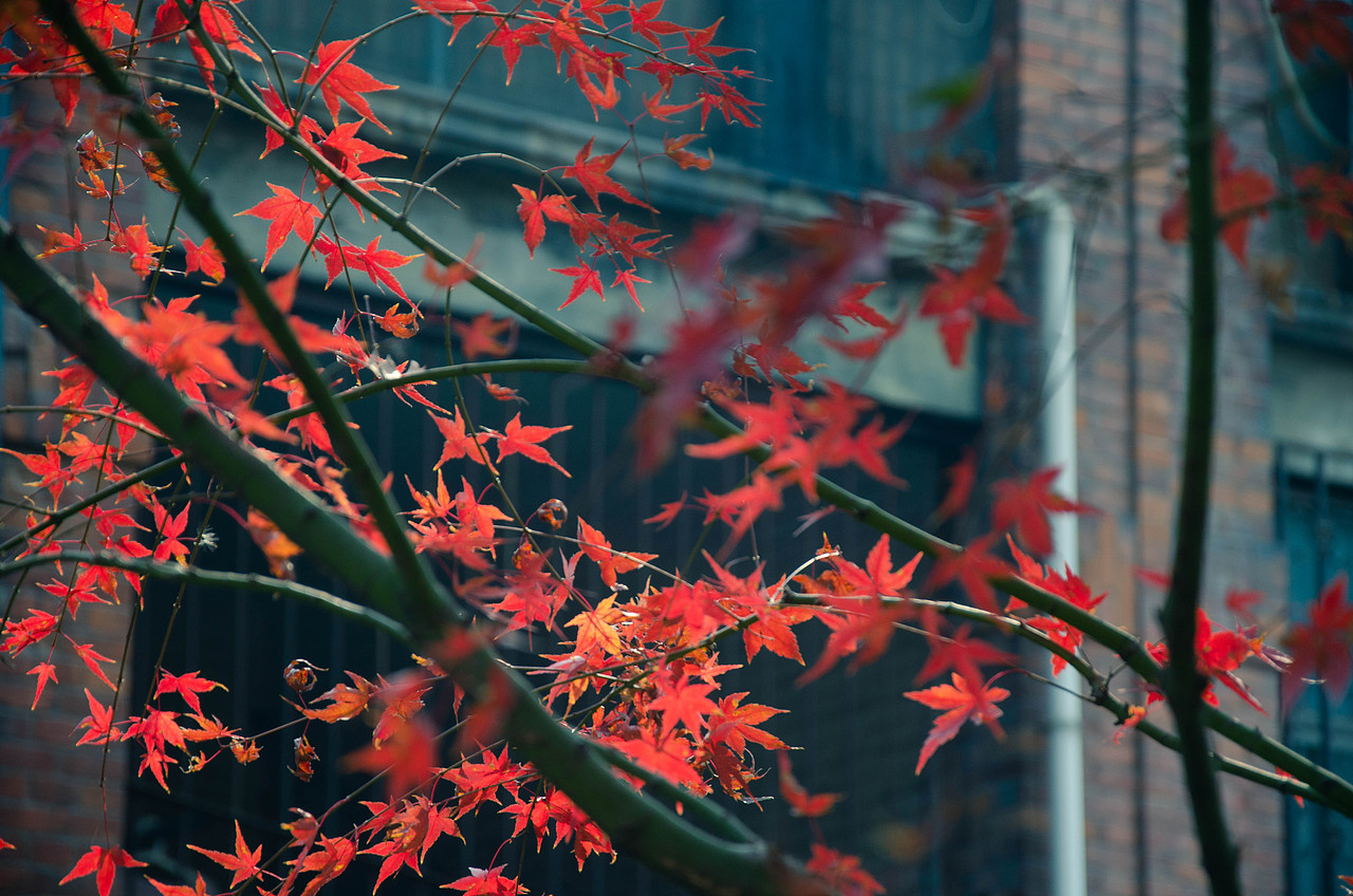 风景摄影（图ZMTg5NTQ2NDY4） - 人文/纪实摄影 - 站酷设计师Z39085363原创素材 - 站酷ZCOOL