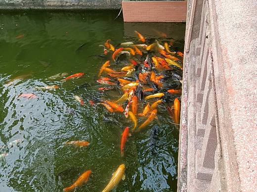 shou风景素材