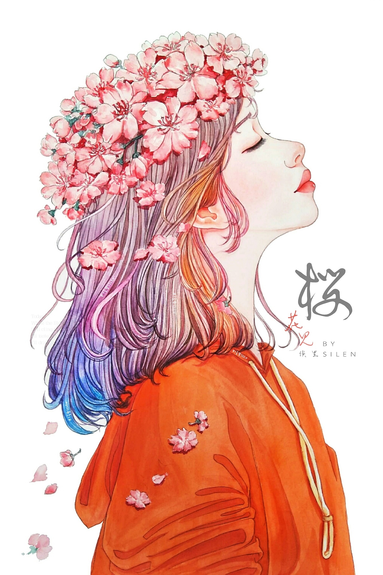 【俟里水彩插画】冬樱女孩插画