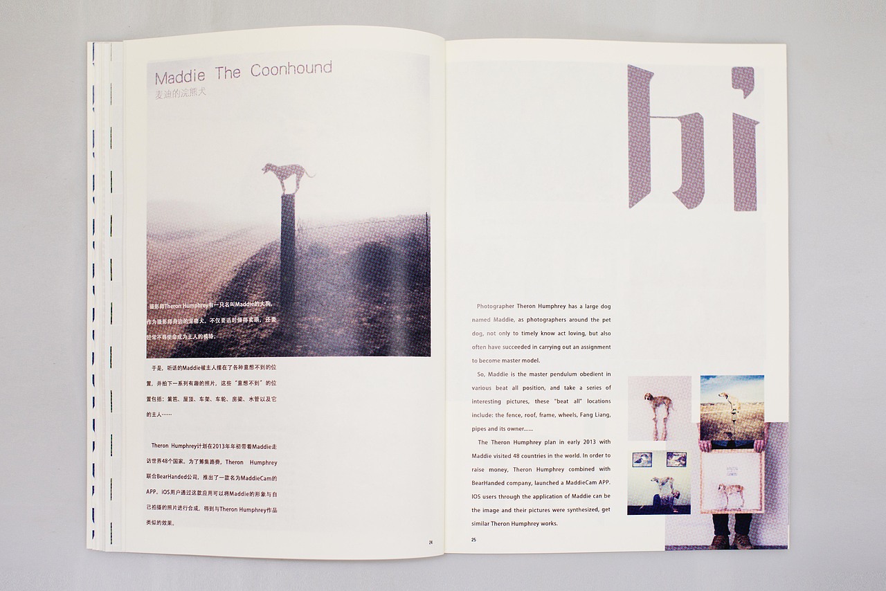 《嘿,犬》杂志版式设计