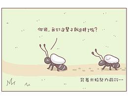 男人都有一個想吃軟飯的夢